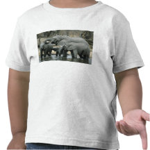African Elephant, (Loxodonta africana), drinking Shirt