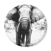 African elephant refrigerator magnet