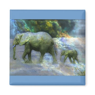 African Elephant Magnets by junglewalkcom