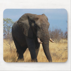 African Elephant mousepad