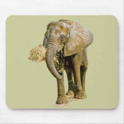 African Elephant Mouse Mat by kphotos