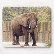 African Elephant Mousepad mousepads