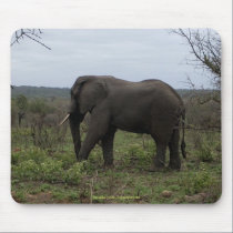 African Elephant Mousepad mousepads