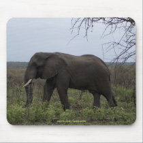 African Elephant Mousepad mousepads