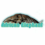 African elephant photo sculpture wildlife magnets photo sculptures