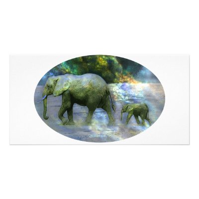 African Elephant Photo Card Template by junglewalkcom