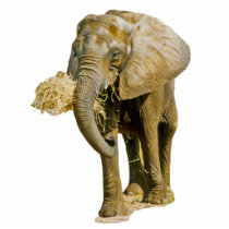 African Elephant photo sculptures by kphotos African Elephant photo sculptures