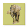 African Elephant Picture Magnet