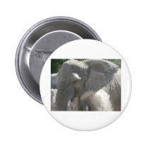 african elephant buttons