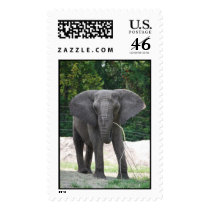 African Elephant postage