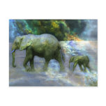 African Elephant Post Cards