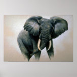African Elephant Print