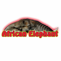 African elephant safari sculpture keychains photo sculptures by Rowood African elephant safari sculpture keychains photo sculptures