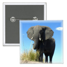 African Elephant Square Pin