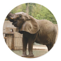 African Elephant Stickers