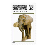 African Elephant US Stamp