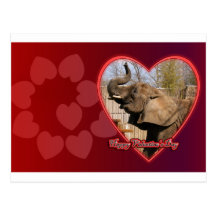 African Elephant Valentine Postcard