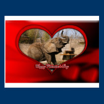 African Elephant Valentine Postcard postcards