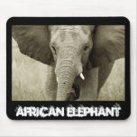 African Elephant, wild mousepad (customise)