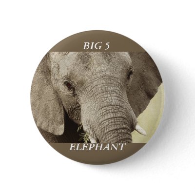 African elephant wildlife safari badges & buttons