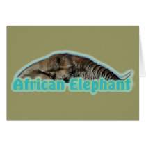 African elephant wildlife safari cards
