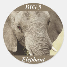 African elephant wildlife safari stickers