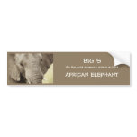 African elephant wildlife safari stickers bumper stickers