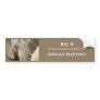 African elephant wildlife safari stickers bumper stickers