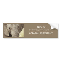 African elephant wildlife safari stickers bumper stickers