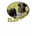 African elephant women's t-shirts