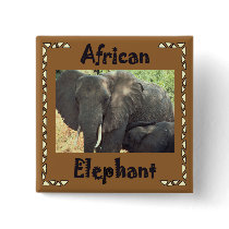 African Elephants buttons