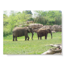 AFRICAN ELEPHANTS posters