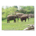 AFRICAN ELEPHANTS posters by one11bargains AFRICAN ELEPHANTS posters