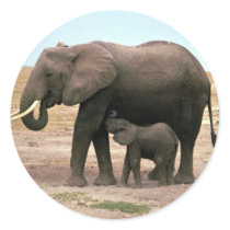 African Elephants - Small Calf Nursing Round Stickers