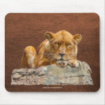 African Female Lion Art on a Wildlife Mousepad