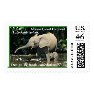 http://rlv.zcache.com/african_forest_elephant_loxodonta_cyclotis_postage-rdbb27a87d77d48d0998dea0d938fb3ef_xjsw1_8byvr_325.jpg