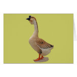 African Goose Card