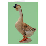 African Goose Cards