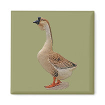 African Goose magnets by kphotos African Goose magnets