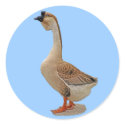 African Goose stickers by kphotos African Goose stickers
