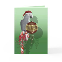 African Gray Christmas Cards