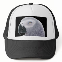 African Gray Hat