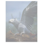 African gray parrot in hose shower letterhead template