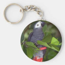African gray parrot keychain