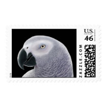 African Gray Parrot Postage