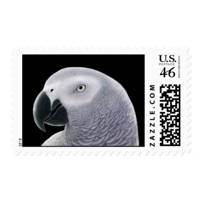 African Gray Parrot Postage by twopurringcats