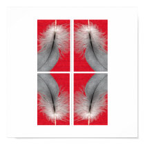 African Grey Feathers poster posters