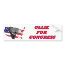 African Grey "Ollie for Congress" Bumper Sticker