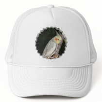 African Grey Parrot Baseball Hat