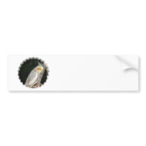 African Grey Parrot Bumper Stickers